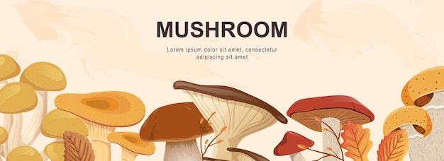 버섯 수평 웹 배너 Cep boletus chanterelle 꿀 agaric champignon russule 및 기타 가을 숲 수확 현대적인 디자인의 헤더 웹 사이트 표지 템플릿에 대한 벡터 그림