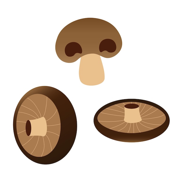 mushrooms illustration set