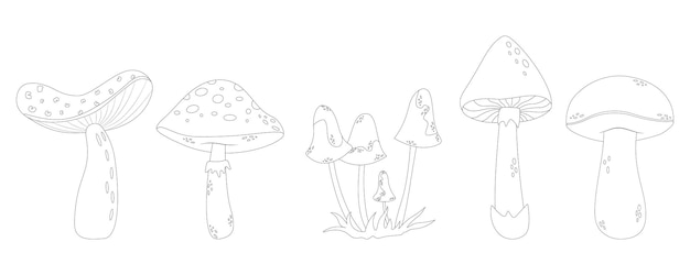 Mushrooms line art style Hand drawn mushrooms no color