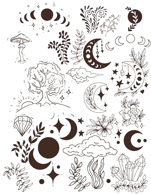 Vector mushrooms mystical magical graphics hand drawn moon stars tarot intuition fly agarics toadstools poisons set background stickers coloring