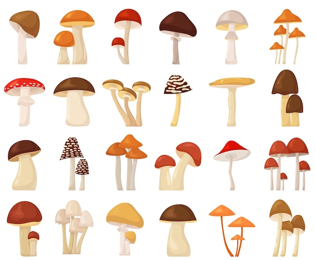 Сбор грибов в плоском дизайне, набор изолированных векторов