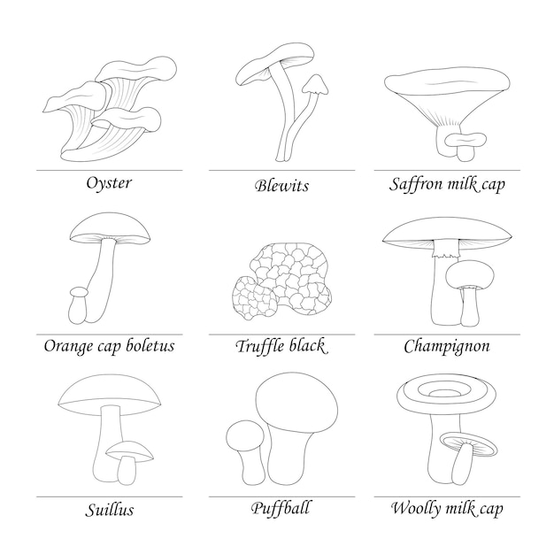 Set di funghi di contorni su sfondo bianco con titolo