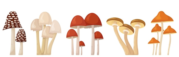 Mushrooms set in flat style isolated vector
