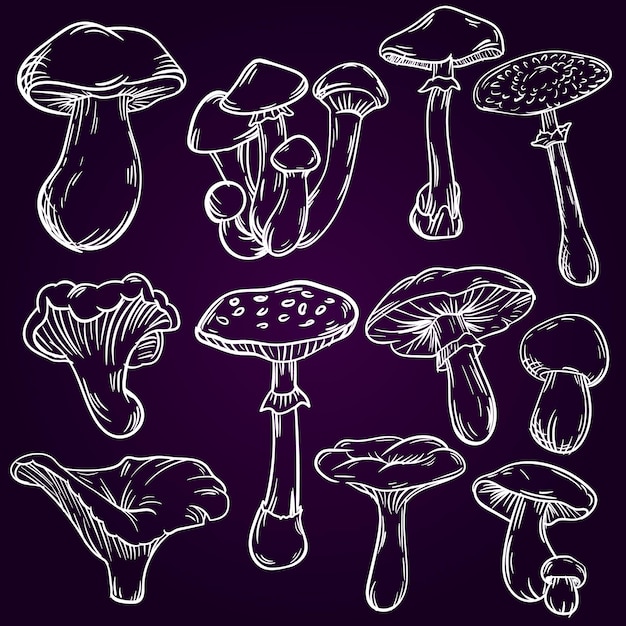 Mushrooms set hand drawn sketch vector illustration