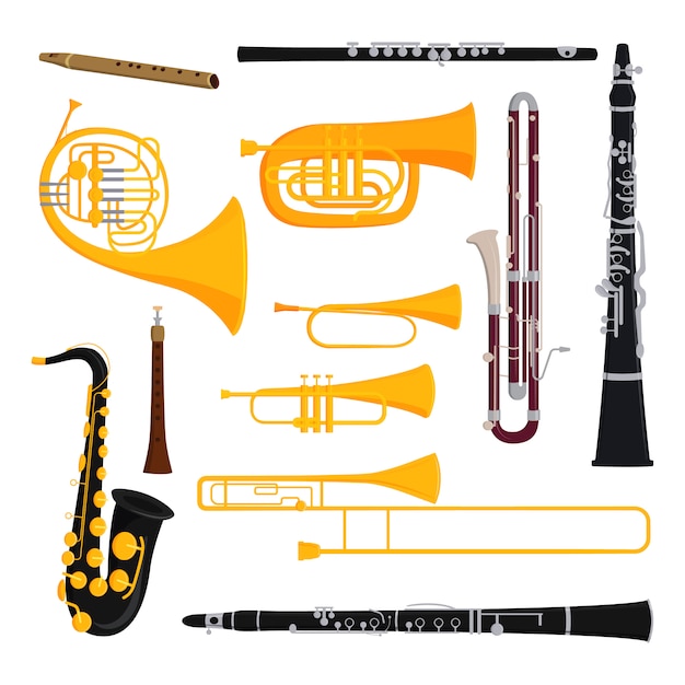 Musical wind instruments set