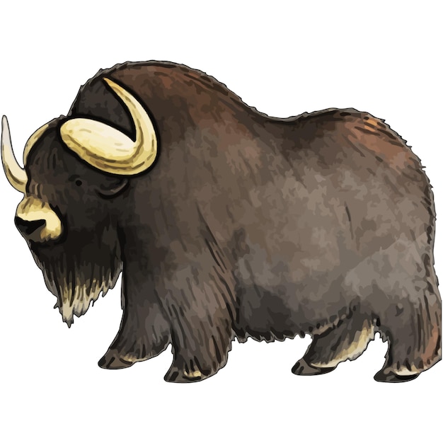 Musk Ox Aquarel vector illustratie