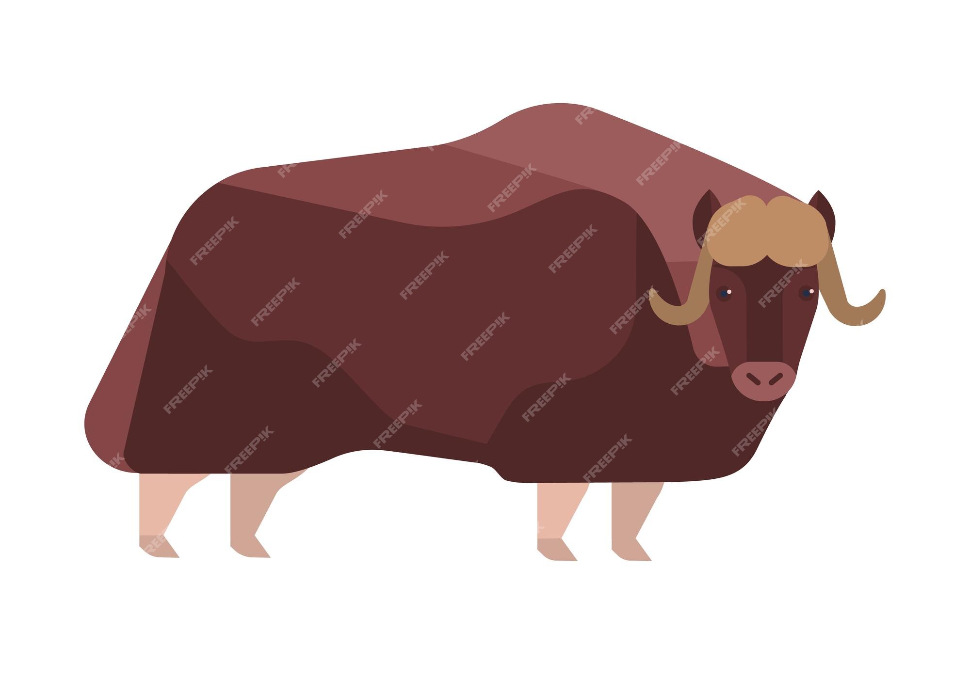 Premium Vector | Musk-ox flat vector illustration. norway wildlife representative. powerful ovibos moschatus isolated on white background. arctic hoofed mammal, dovrefjell clipart. wild animal with thick brown coat. Premium Vector | Musk-ox flat vector illustration. norway wildlife representative. powerful ovibos moschatus isolated on white background. arctic hoofed mammal, dovrefjell clipart. wild animal with thick brown coat.