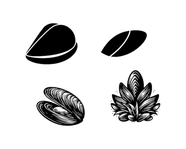 Vector mussel silhouette vector icon graphic logo design