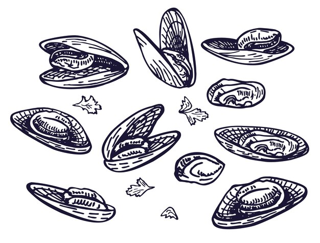 Вектор Москиты чернильные эскизы морепродукты набор шаблонов для дизайна меню упаковки ресторанов и общественного питания в ретро стиле