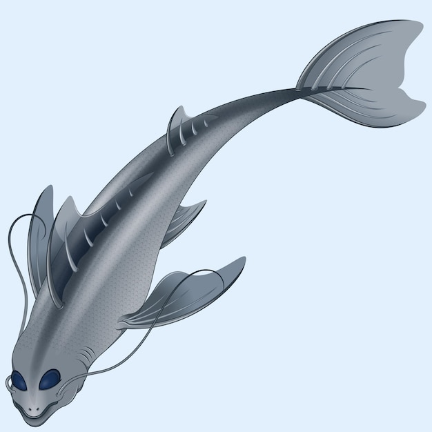 Disegno vettoriale di pesce baffi