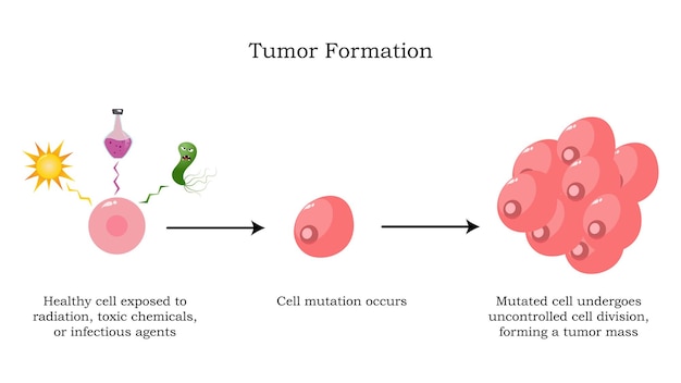 Mutation of cells into tumors vector illustration diagram