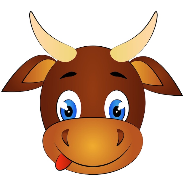 Il muso di un toro mostra la lingua su uno sfondo bianco