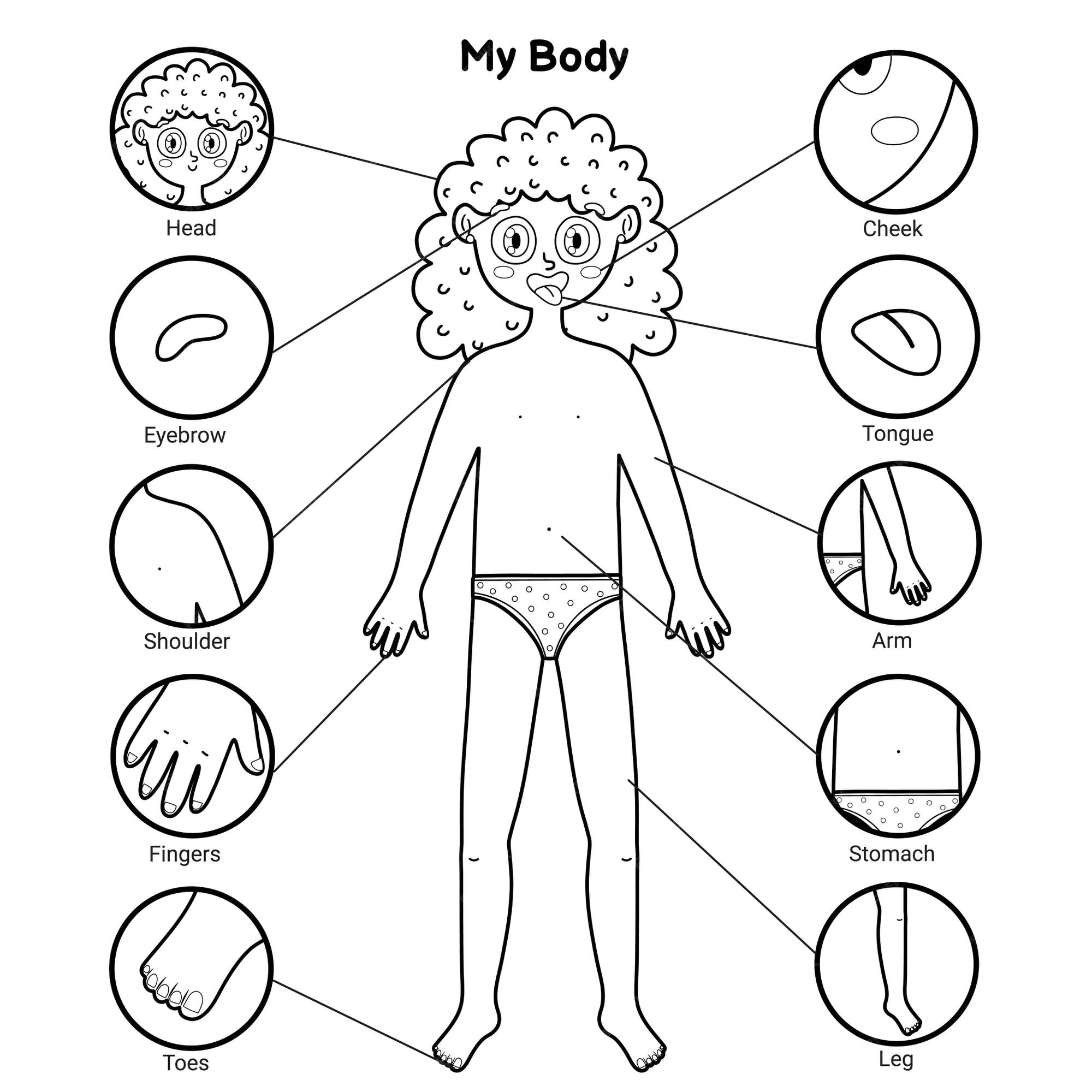 Premium Vector | My Body Parts Black And White Educational Poster With A  Girl. Learning Human Body For School And Preschool Kids. Coloring Page  Template.