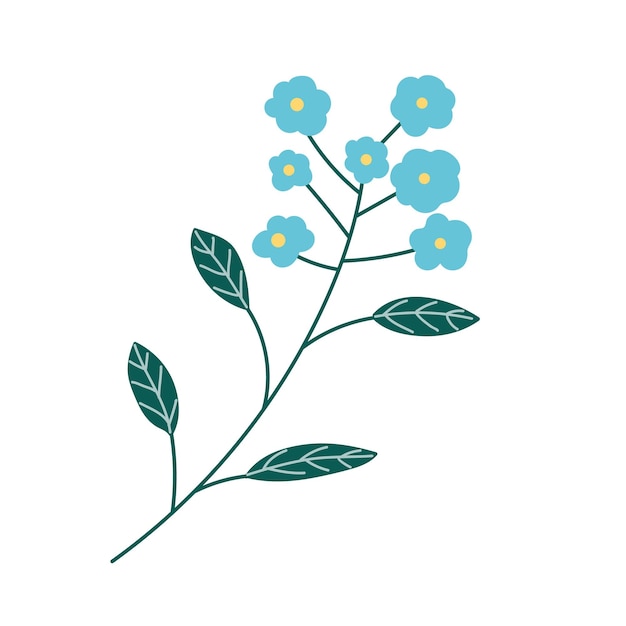 Vector myosotis flower with blue buds hand drawn vector illustration isolated on a white background