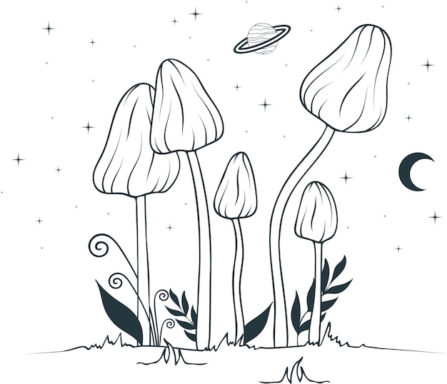 Mystic mushrooms simple line art drawing element