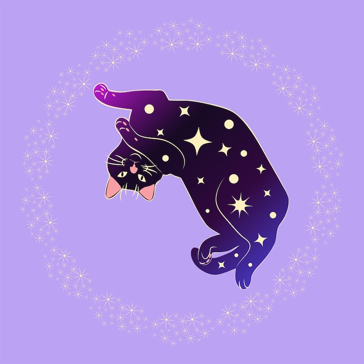 Vector mystical cat in boho style surrounded by stars zodiac signs balls paw prints silhouette collection esotericism and mysticism occultism cartoon flat vector illustrations