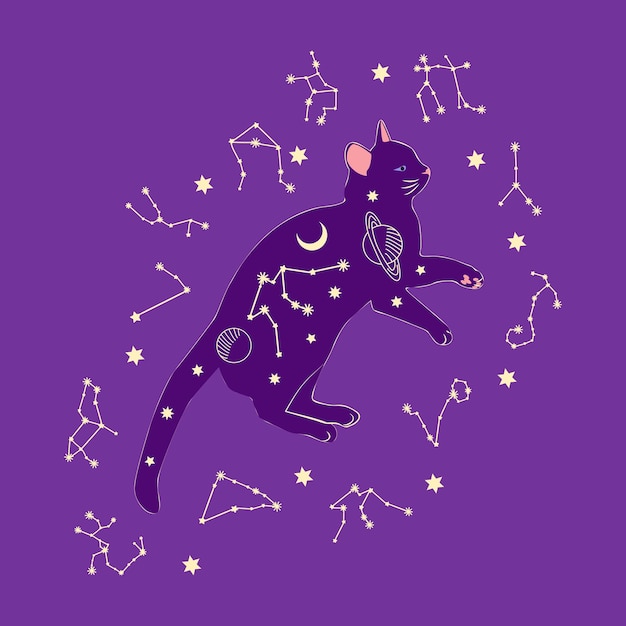 Mystical cat in boho style surrounded by stars zodiac signs balls paw prints silhouette collection Esotericism and mysticism occultism Cartoon flat vector illustrations