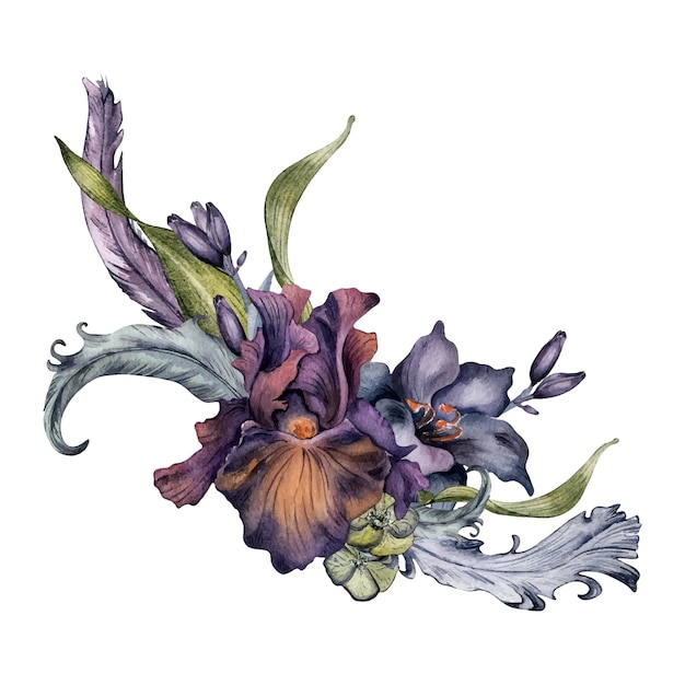 mystical floral watercolor illustration and feathers isolated on white gothic plant elements hand drawn dark botanical wedding decoration with lily iris element for package card printing