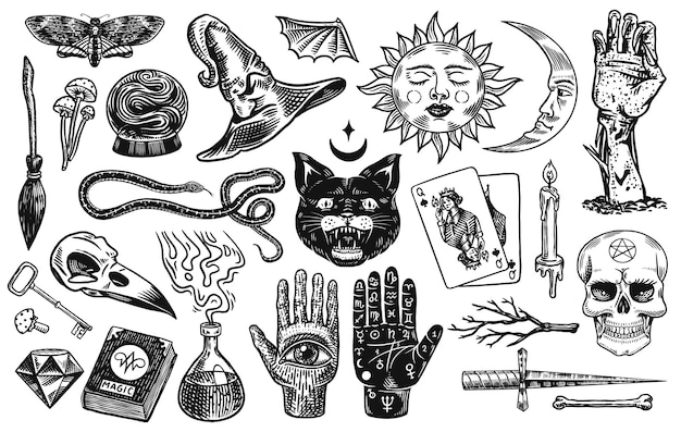 Elementi boho magici mistici set astrologico di stregoneria schizzo di alchimia esoterica per tatuaggio chiromanzia e teschio la mano di un uomo morto carte da gioco incise disegnate e gatto nero