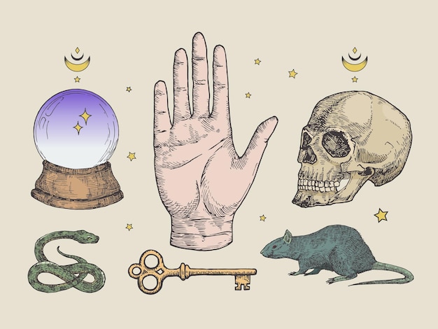 Illustrazioni di incisione magica mistica set schizzi a colori in stile tatuaggio disegnato a mano della chiave e stelle della palella del serpente della sfera di cristallo collezione di simboli di chiromanzia e alchimia di halloween