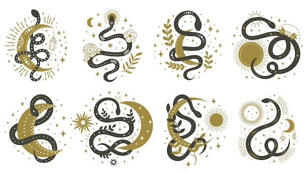 Vettore serpenti mistici. boho floreale e elementi minimalisti di astrologia con set di illustrazione di serpenti che si dimenano