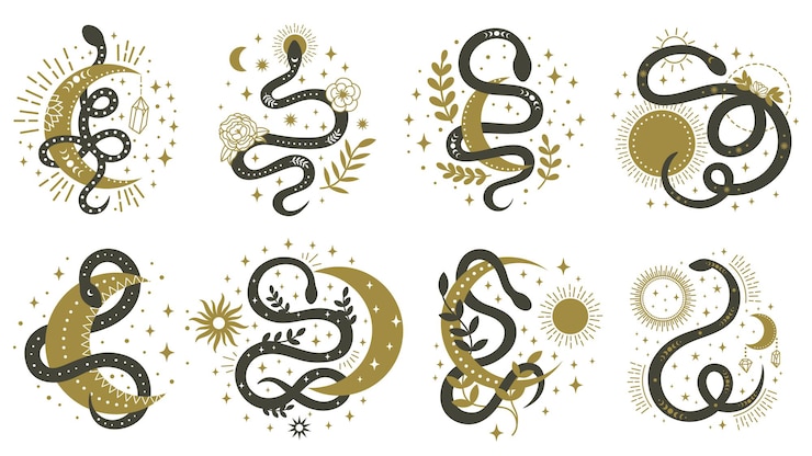 Vector mystical snakes. floral boho and astrology minimalist elements with wriggling snakes illustration set