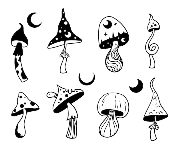 Mystieke hemelse paddestoelen geïsoleerde clip art bundel magische lijn paddestoelen vector illustratie