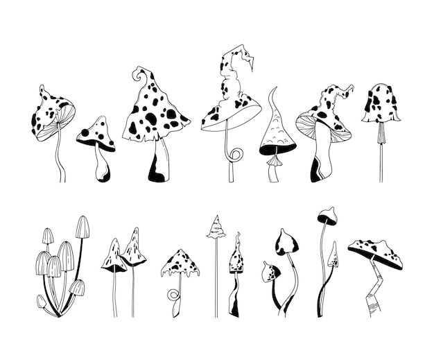 Mystieke paddenstoel clip art bundel met de hand getekende giftige amanita of vlieg agaric schimmel ivector