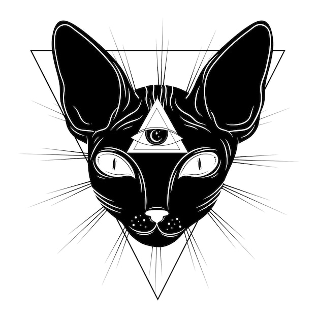 Vector mystieke zwarte kat maanzongras sterren esoterische symbolen tattoo-logo