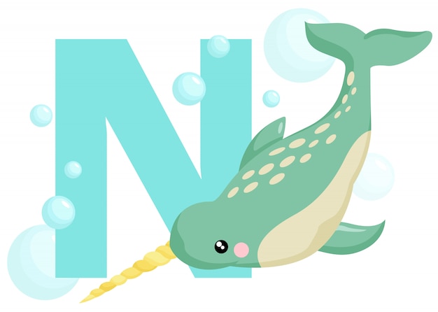 N for narwhal