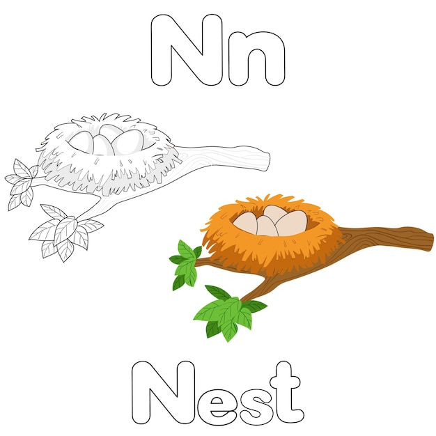 N for Nest