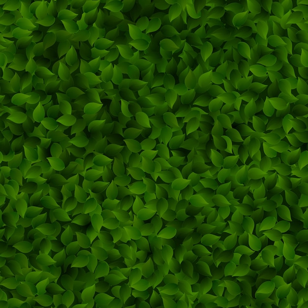 Vector naadloos groen bladerenpatroon.