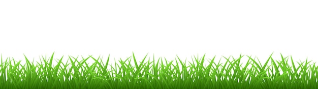 Vector naadloos groen gras dat op wit wordt geïsoleerd