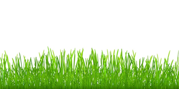 Naadloos groen gras