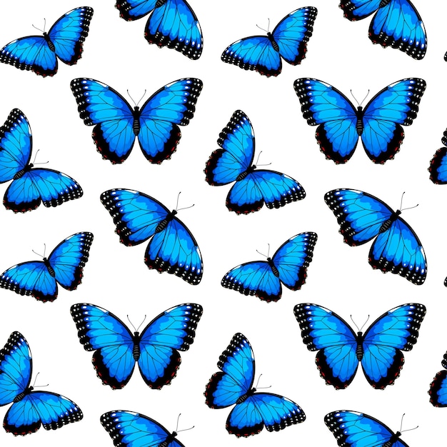 Naadloos patroon met blauwe morpho vlinders vector illustratie