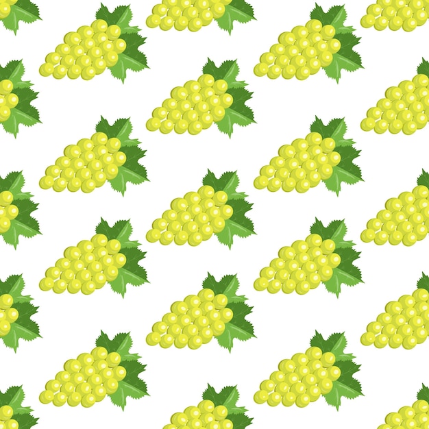 Naadloos patroon met groene druiven Vector illustratie geïsoleerd op witte achtergrond