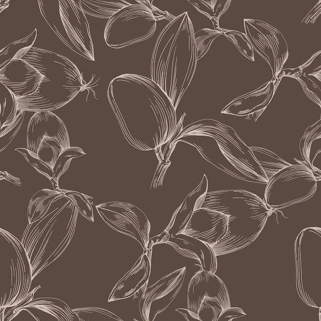 Naadloos patroon met handgetekende cosmetische planten jojoba