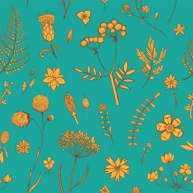 Naadloos patroon met herbariumbloemen