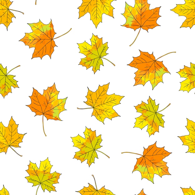 Naadloos patroon met herfst esdoorn bladeren Vector illustratie