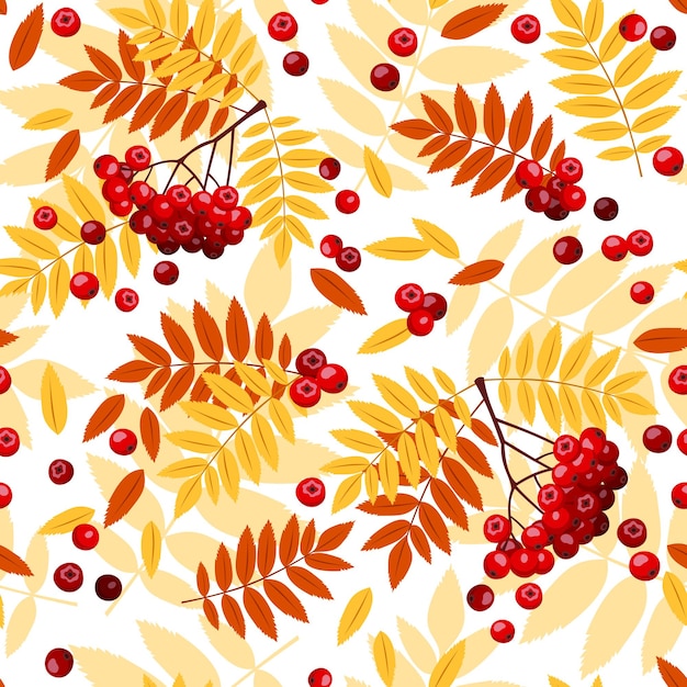 Naadloos patroon met herfst rowan takken bladeren en rowanbessen op een witte achtergrond