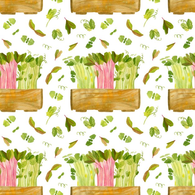 Naadloos patroon met houten kist en microgreens zaailingen van erwtenbiet basilicum moestuin