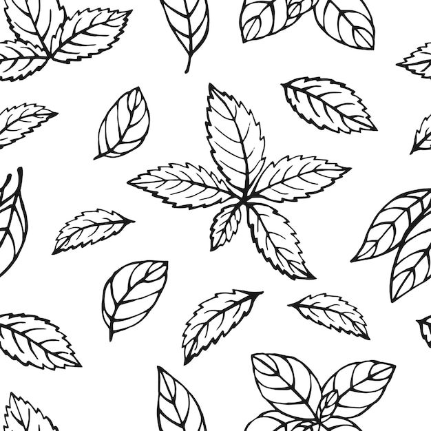 Naadloos patroon met kruiden Hand getrokken vectorillustratie in schetsstijl