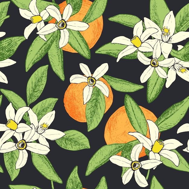 Naadloos patroon van geïsoleerde hand getrokken sinaasappelen en bloemen in s