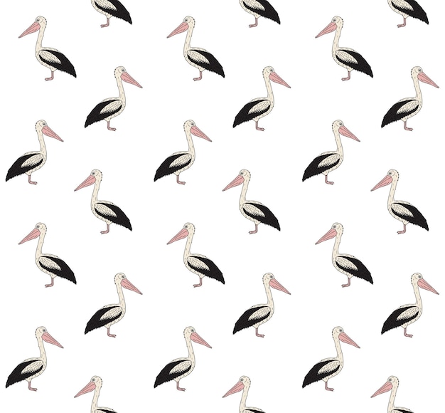 Naadloos patroon van handgetekende pelikaan