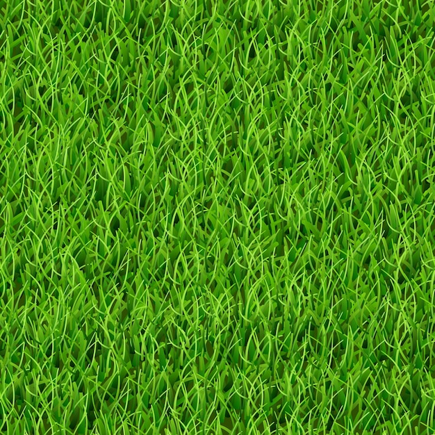 Naadloos patroon van verse groene gras vectorillustratie