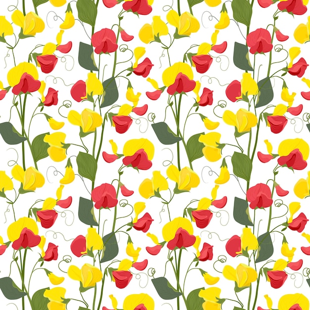 Naadloos vectorpatroon met zoete erwtenbloemen Bloempatroon voor behang of textiel
