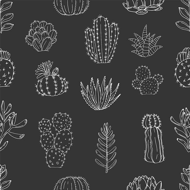 Naadloos vectorpatroon van elementen met hand getrokken cactussen en vetplanten op een schoolbordachtergrond ornament in schetsstijl