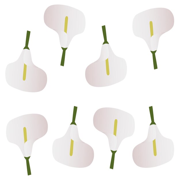 Naadloze achtergrond met handgetekende callas bloemenpatroon botanische print vectorillustratie