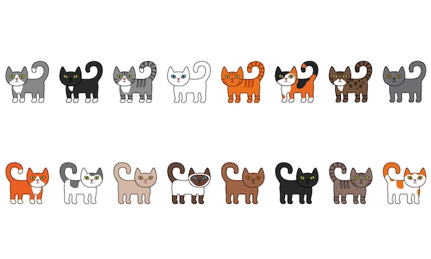 Naadloze grens tussen verschillende katten