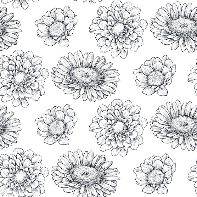 Naadloze patroon met hand getrokken bloemen en planten in schets stijl Monochrome vector eindeloze natuur achtergrond kamille chrysant gerbera
